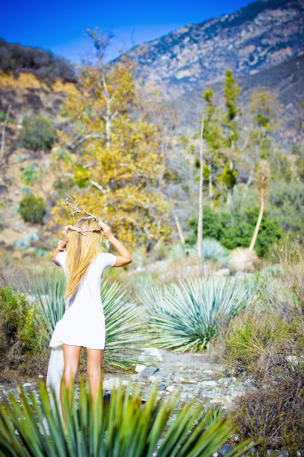 It's fairly easy to make a Yucca Flute